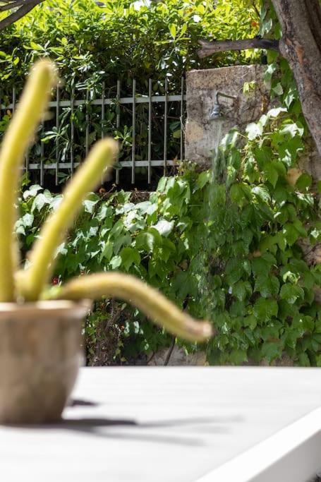 Апартаменти Il Giardino Tra Cielo E Mare Портовенере Екстер'єр фото